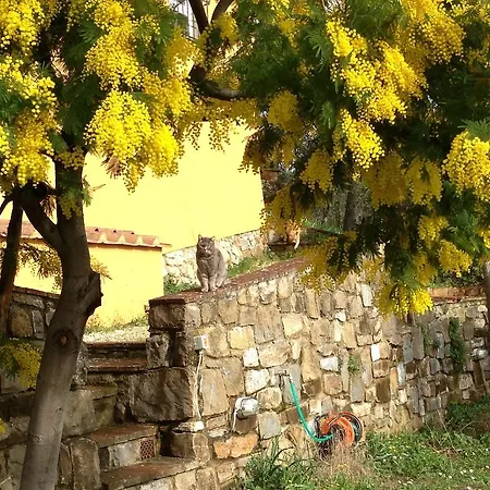 Il Casalone
