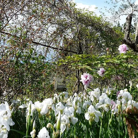 בית נופש Il Casalone אימפרונטה