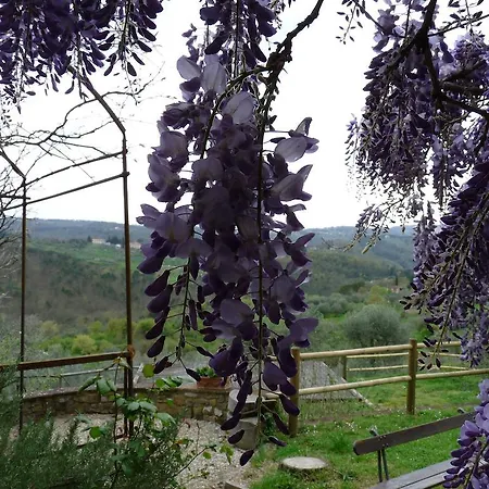 Nyaraló Il Casalone *