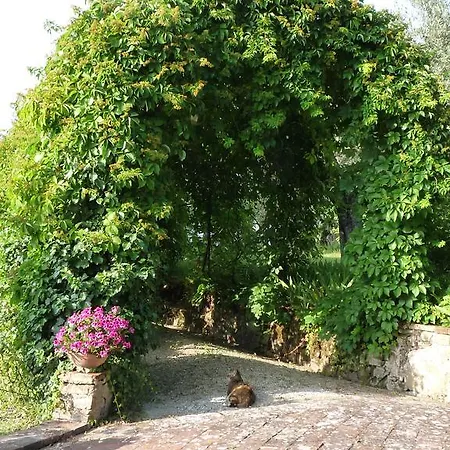 Il Casalone אימפרונטה